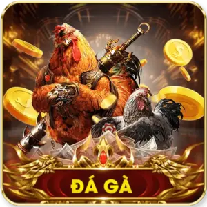 đá gà mu88